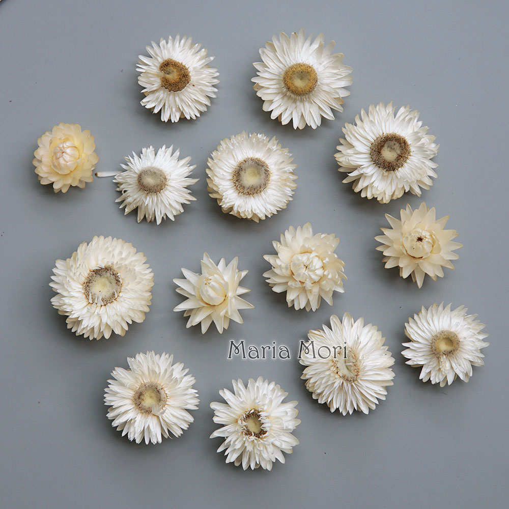 Home Textiles Products - Corona de crisantemo colorida seca Natural,